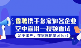 视频面试技巧和注意事项,技巧与注意事项全解析