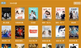 青桔视频,揭秘短视频时代的魅力与挑战