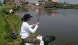 逗钓教学视频,跟随教学视频轻松掌握钓鱼乐趣