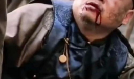 吸乳头视频,吸乳头视频背后的温馨瞬间