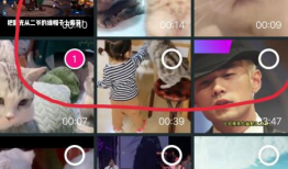视频合集,精彩瞬间一网打尽