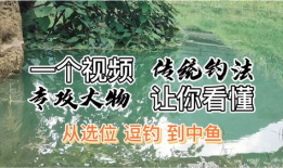 逗钓教学视频,跟随教学视频轻松掌握钓鱼乐趣