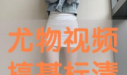 搞基免费视频,揭秘网络影视资源新趋势