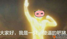 日日日视频,揭秘日常生活的精彩瞬间