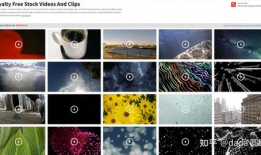 白白色免费视频,独家内容与观看体验全解析