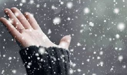 下雪视频,冬日雪景视频赏析