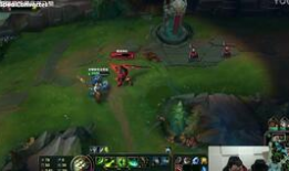 纯肉视频,纯肉视频深度解析