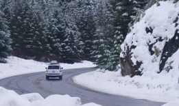 下雪视频,冬日雪景视频赏析