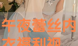 蕾丝视频,探寻时尚与艺术的完美融合