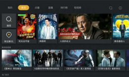 高清视频在线观看,在线观看的极致体验解析