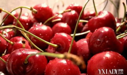 樱桃视频在线观看,畅享在线视听盛宴，尽在指尖