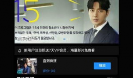 视频在线观看网站,在线观影新体验一览