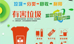 垃圾分类宣传视频,守护绿色家园——视频深度解读