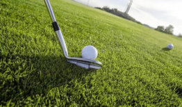 青草视频免费,免费畅享，解锁无限精彩瞬间